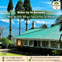 Tea Garden Homestay Darjeeling - Stay Amidst Nature