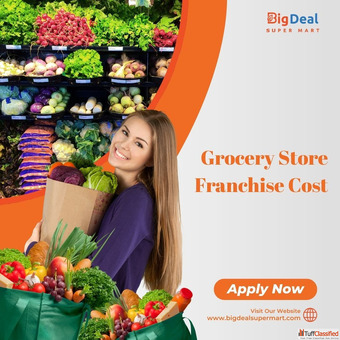 Why is BigDeal the Best Option Despite the Grocery Store Franchise Cost