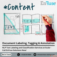 Find NLP Text Labeling and Classification Services at EnFuse