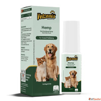 Anxiety Supplements for Dogs - Keep Your Pet Calm and Happy