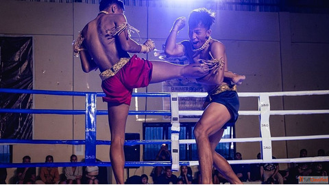 Top MMA Training in Noida to Boost Your Fitness Skills