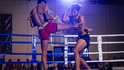 Top MMA Training in Noida to Boost Your Fitness Skills