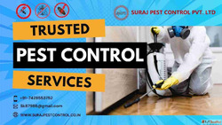 Trusted Pest Control Service in Faridabad