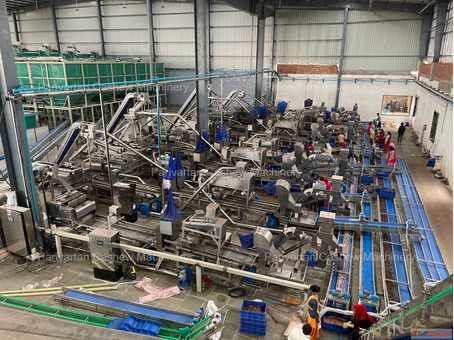 Cashew Cutting Machine for Precision Speed and Higher Output