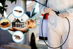 Top Pest Control Service Company in Mumbai - VSG Pest Contro...