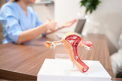 Personalized Uterine Fibroids Treatment in Mumbai India by D...