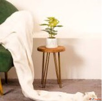 Stylish Plant Stand for Living Room Decor Inspiration