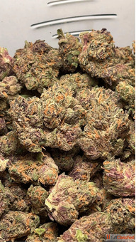 Premium Farm Direct Flower