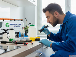 Professional Pest Control Services for Complete Protection