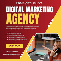 Best SEO Service in Ghaziabad