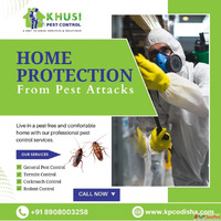 Khusi Pest Control - Complete Pest Control Services in Bhuba...