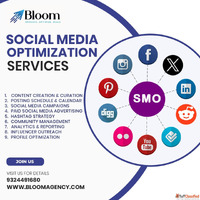 Expert Social Media Optimization Company for Growth