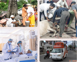 From Cows Care to Community Welfare The Krishnayan Way of Se...