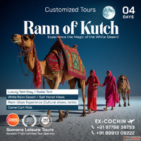 Rann of Kutch Tour - 4 Days from Cochin