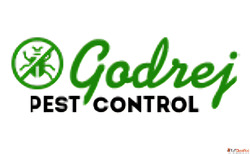 Rodent Control Gurgaon