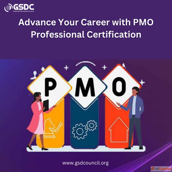 Advance Your Career with PMO Professional Certification