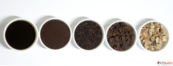 Buy Premium Chicory from Leading Manufacturers in India