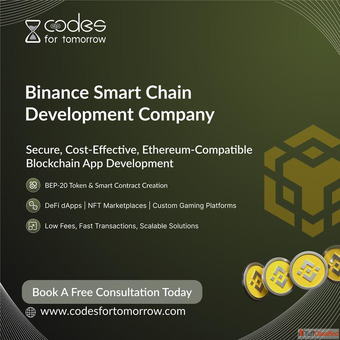 Binance Smart Chain Development Services Secure Scalable Solutions