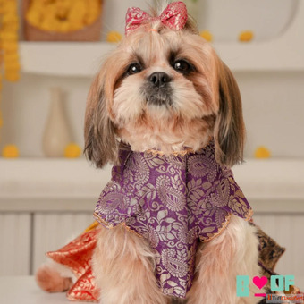Dog Kurta Dog Lehenga for Ganesh Chaturthi Celebrations