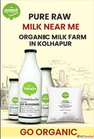 Get Pure Buffalo Milk Near You - Vatsalya Farms