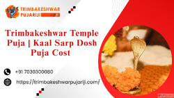 Trimbakeshwar Temple Puja Kaal Sarp Dosh Puja Cost