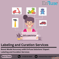 Boost Model Accuracy with Expert Labeling Services from EnFu...