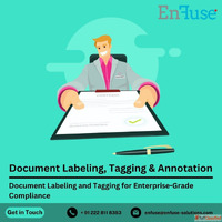 Document Labeling and Tagging for Enterprise Grade Complianc...