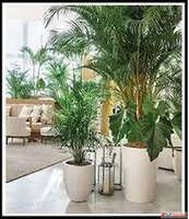 Buy Artificial Tree from No1. Manufacturers in India