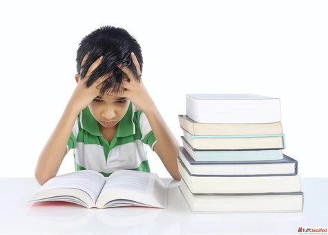 Child Stress Management Wellness Support
