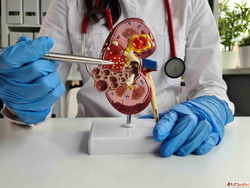 Best Nephrologist in Bhubaneswar for Kidney Health Solutions