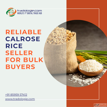 Reliable Calrose Rice Seller for Bulk Buyers