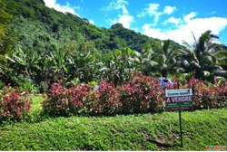 Property for sale in Tahiti