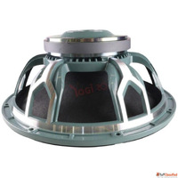 High Performance 12 Inch Ferrite DJ Speaker