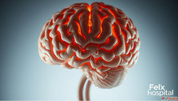 Best Neurologists In Noida