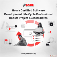 How a Certified Software Development Life Cycle Professional...