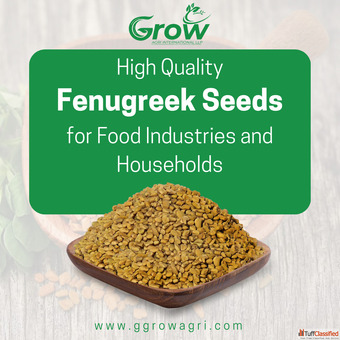 High Quality Fenugreek Seeds for Food Industries and Households