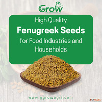 High Quality Fenugreek Seeds for Food Industries and Househo...