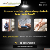 Private Detective in Delhi - AMX Detectives