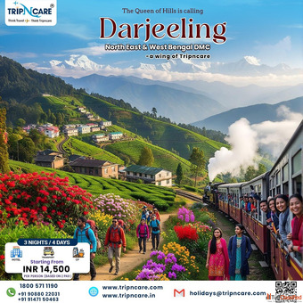 Darjeeling Tour With Tripncare