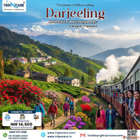 Darjeeling Tour With Tripncare