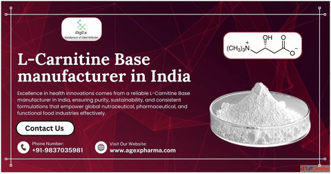 Enhancing Nutrition Using L-Carnitine Base manufacturer in India