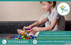 Looking for Quality Care for Autism Spectrum Disorder in Kol...
