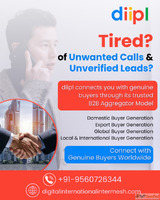 Verified Buyer Generation Services - Domestic Export