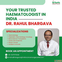 Dr Rahul Bhargava Best Hematologist Doctor in India