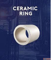Leading Ceramic Ring Exporter and Manufacturer in India - Ma...