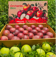 Apples in Himachal Pradesh - Farm-Fresh Taste from the Himal...