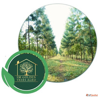 Why Agricultural Land in Nagpur is Gaining Popularity Among ...