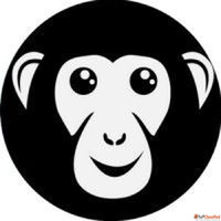 Why should businesses hire experts for professional SEO serv...