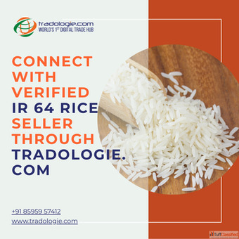 Connect with Verified IR 64 Rice Seller Through Tradologie.com