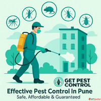 Expert Solutions for Professional Pest Control Services in P...